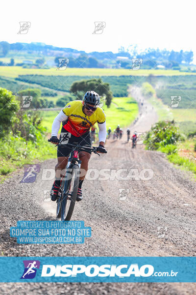 3º CIRCUITO DE PEDALADA E CAMINHADA DE MANDAGUARI