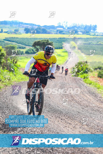 3º CIRCUITO DE PEDALADA E CAMINHADA DE MANDAGUARI