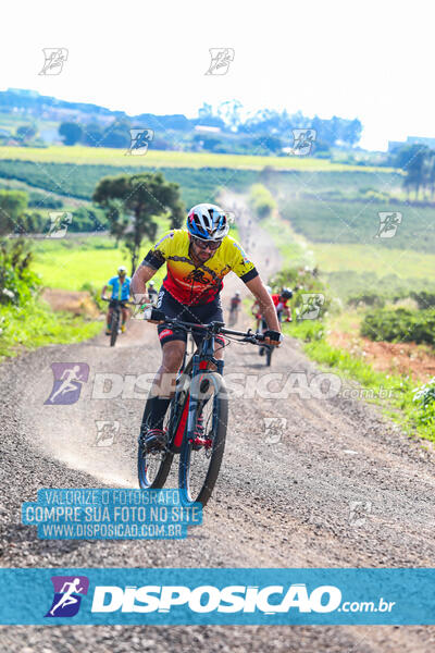 3º CIRCUITO DE PEDALADA E CAMINHADA DE MANDAGUARI