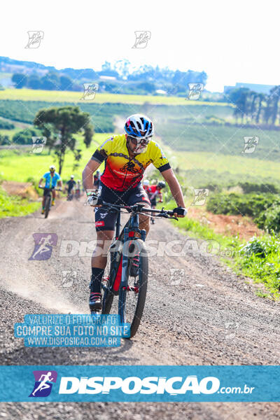 3º CIRCUITO DE PEDALADA E CAMINHADA DE MANDAGUARI