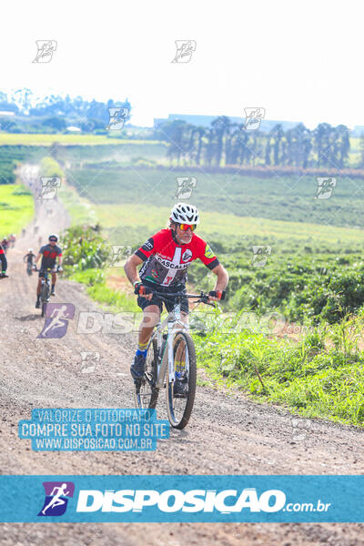 3º CIRCUITO DE PEDALADA E CAMINHADA DE MANDAGUARI