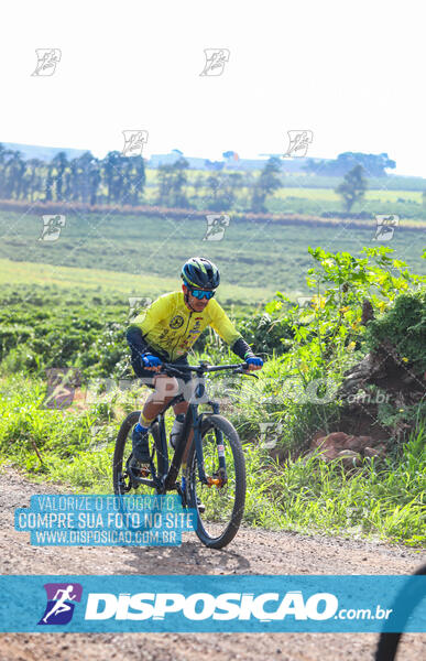 3º CIRCUITO DE PEDALADA E CAMINHADA DE MANDAGUARI