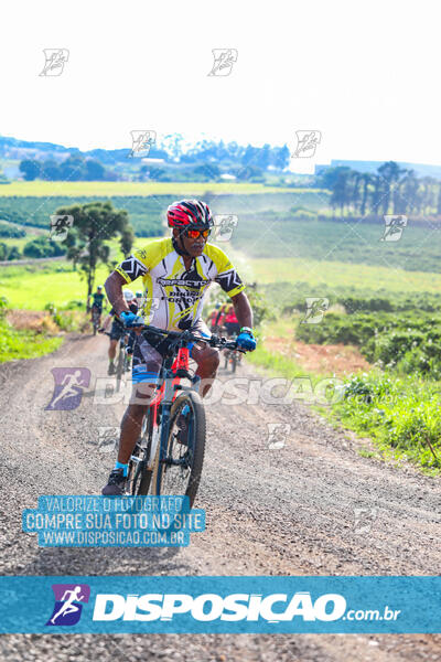 3º CIRCUITO DE PEDALADA E CAMINHADA DE MANDAGUARI