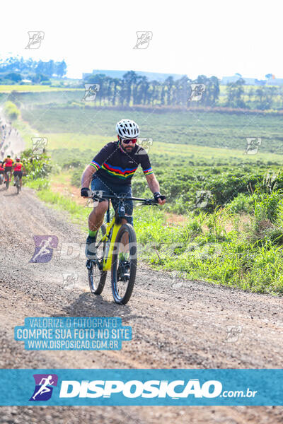 3º CIRCUITO DE PEDALADA E CAMINHADA DE MANDAGUARI