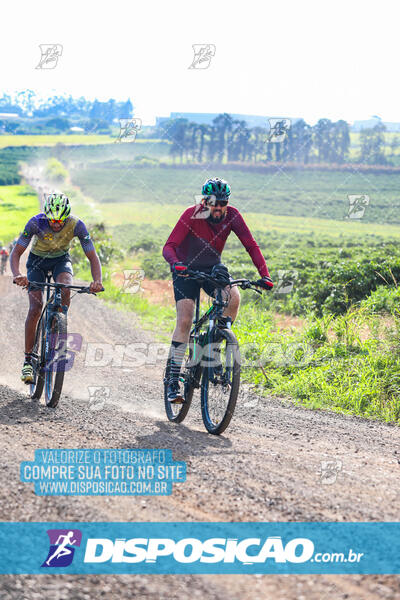 3º CIRCUITO DE PEDALADA E CAMINHADA DE MANDAGUARI