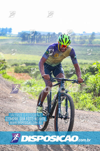 3º CIRCUITO DE PEDALADA E CAMINHADA DE MANDAGUARI