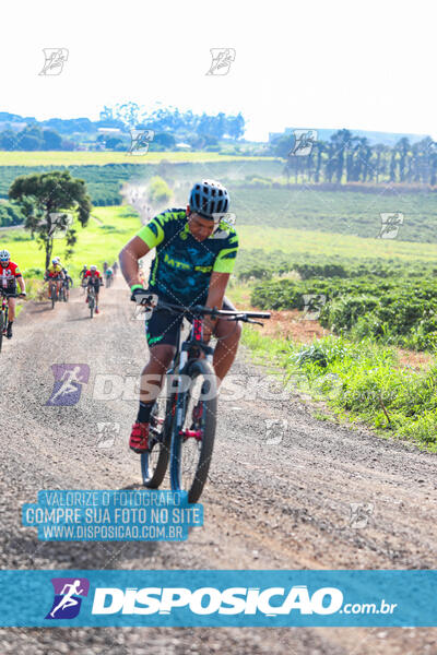 3º CIRCUITO DE PEDALADA E CAMINHADA DE MANDAGUARI