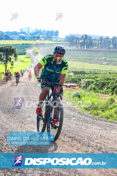 3º CIRCUITO DE PEDALADA E CAMINHADA DE MANDAGUARI