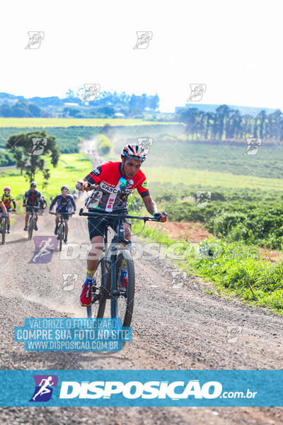 3º CIRCUITO DE PEDALADA E CAMINHADA DE MANDAGUARI