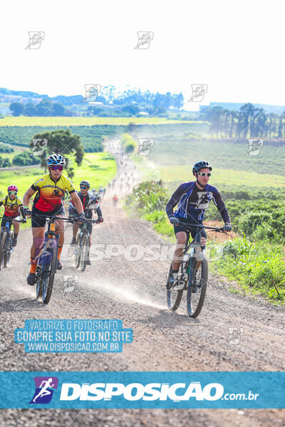 3º CIRCUITO DE PEDALADA E CAMINHADA DE MANDAGUARI