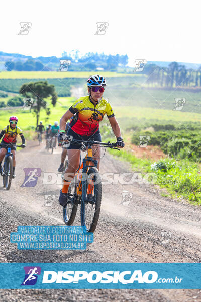 3º CIRCUITO DE PEDALADA E CAMINHADA DE MANDAGUARI