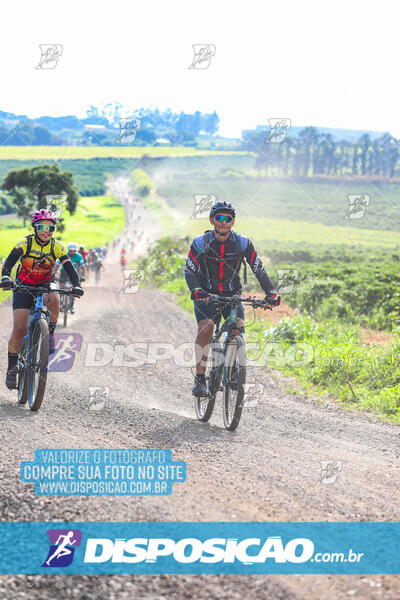 3º CIRCUITO DE PEDALADA E CAMINHADA DE MANDAGUARI