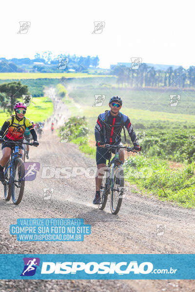 3º CIRCUITO DE PEDALADA E CAMINHADA DE MANDAGUARI