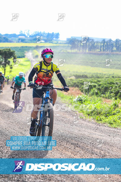 3º CIRCUITO DE PEDALADA E CAMINHADA DE MANDAGUARI