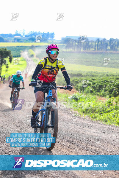 3º CIRCUITO DE PEDALADA E CAMINHADA DE MANDAGUARI