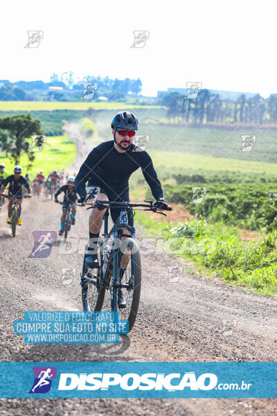 3º CIRCUITO DE PEDALADA E CAMINHADA DE MANDAGUARI