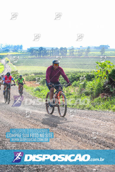 3º CIRCUITO DE PEDALADA E CAMINHADA DE MANDAGUARI