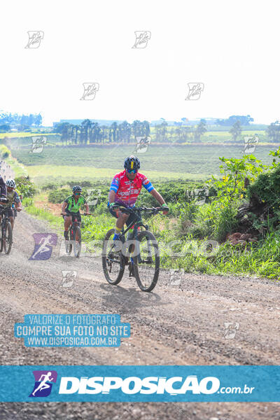 3º CIRCUITO DE PEDALADA E CAMINHADA DE MANDAGUARI