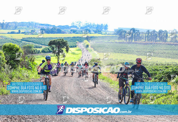 3º CIRCUITO DE PEDALADA E CAMINHADA DE MANDAGUARI