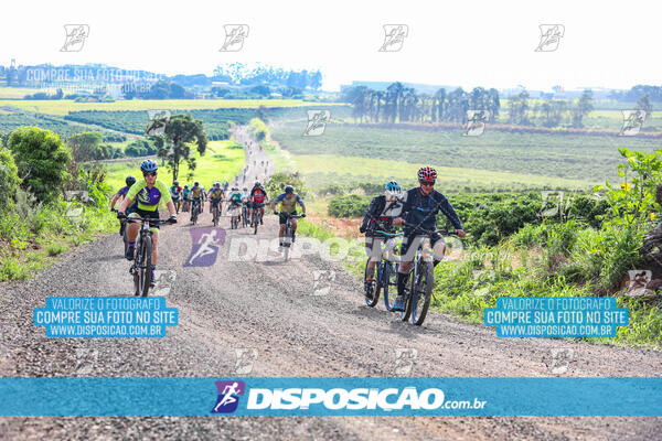 3º CIRCUITO DE PEDALADA E CAMINHADA DE MANDAGUARI