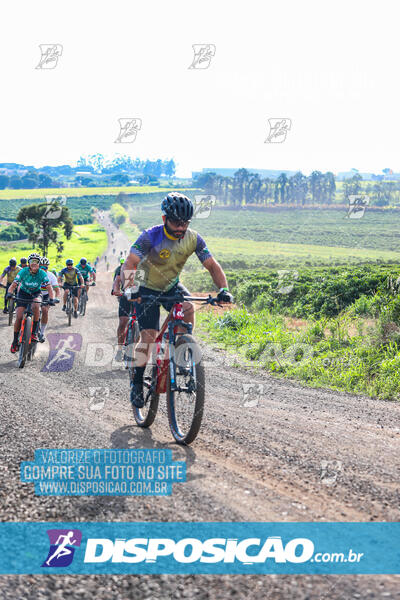 3º CIRCUITO DE PEDALADA E CAMINHADA DE MANDAGUARI