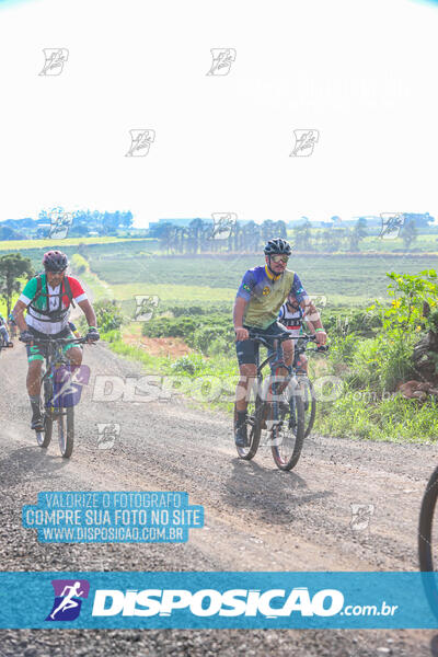 3º CIRCUITO DE PEDALADA E CAMINHADA DE MANDAGUARI