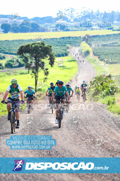 3º CIRCUITO DE PEDALADA E CAMINHADA DE MANDAGUARI