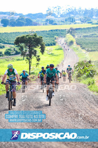 3º CIRCUITO DE PEDALADA E CAMINHADA DE MANDAGUARI