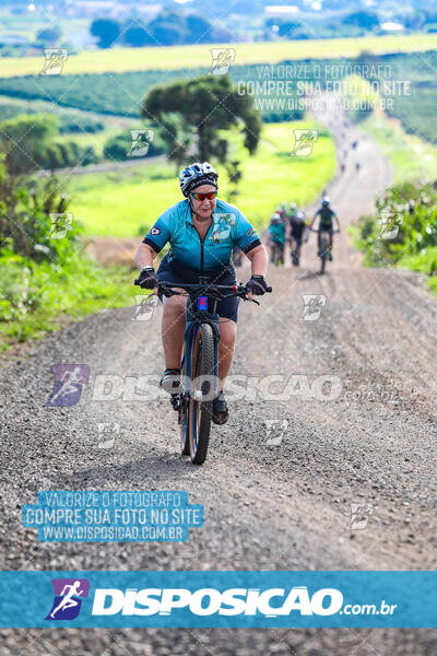 3º CIRCUITO DE PEDALADA E CAMINHADA DE MANDAGUARI