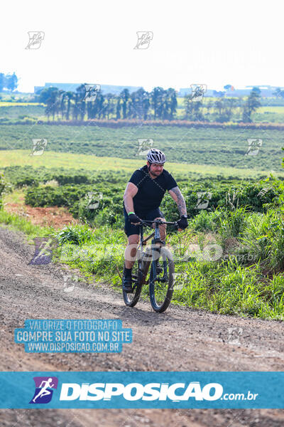 3º CIRCUITO DE PEDALADA E CAMINHADA DE MANDAGUARI