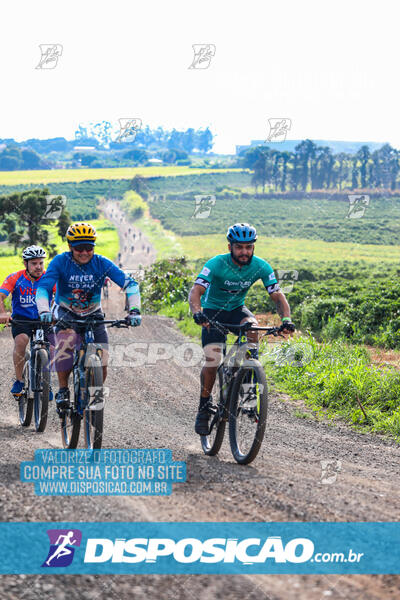 3º CIRCUITO DE PEDALADA E CAMINHADA DE MANDAGUARI