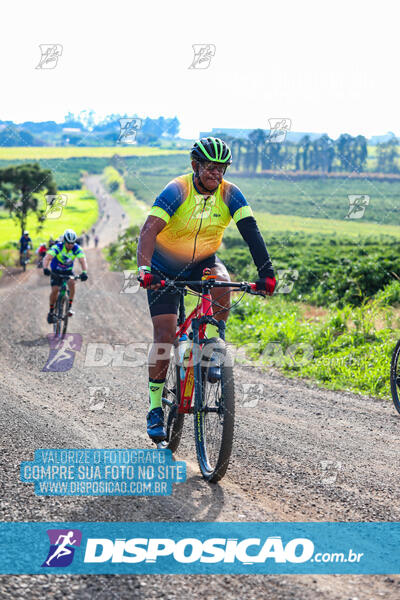 3º CIRCUITO DE PEDALADA E CAMINHADA DE MANDAGUARI