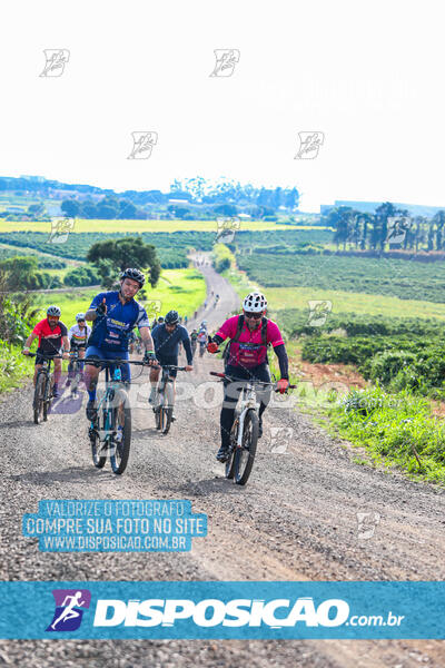 3º CIRCUITO DE PEDALADA E CAMINHADA DE MANDAGUARI