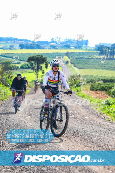 3º CIRCUITO DE PEDALADA E CAMINHADA DE MANDAGUARI