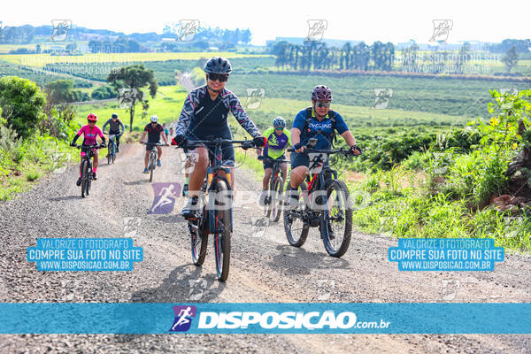 3º CIRCUITO DE PEDALADA E CAMINHADA DE MANDAGUARI