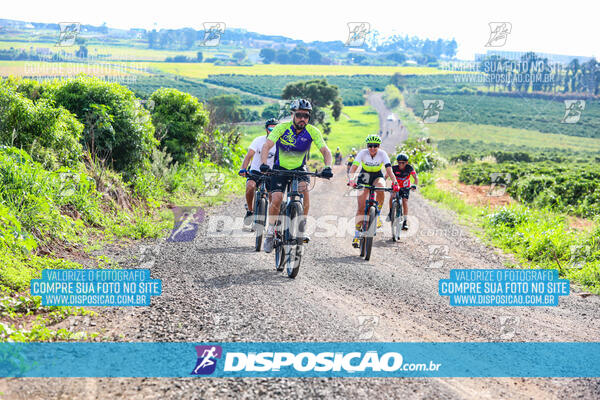 3º CIRCUITO DE PEDALADA E CAMINHADA DE MANDAGUARI