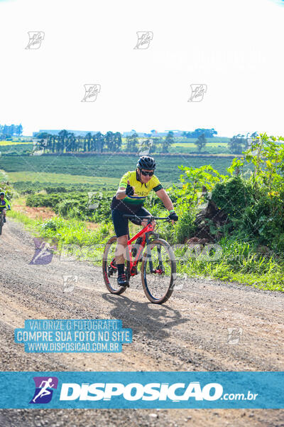 3º CIRCUITO DE PEDALADA E CAMINHADA DE MANDAGUARI