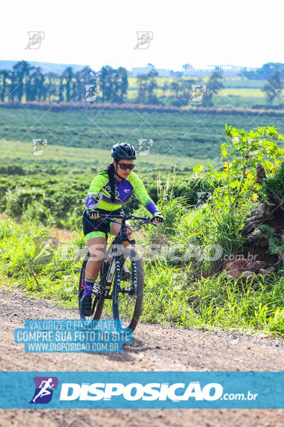 3º CIRCUITO DE PEDALADA E CAMINHADA DE MANDAGUARI