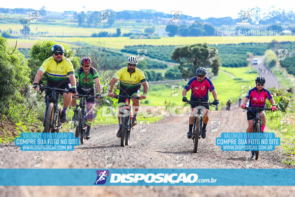 3º CIRCUITO DE PEDALADA E CAMINHADA DE MANDAGUARI