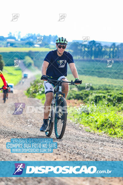 3º CIRCUITO DE PEDALADA E CAMINHADA DE MANDAGUARI