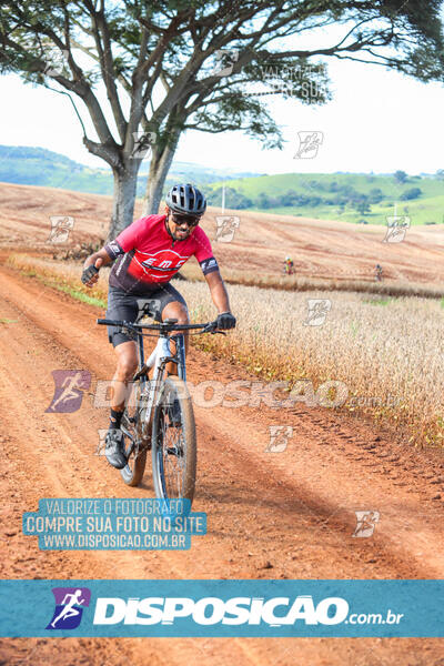 3º CIRCUITO DE PEDALADA E CAMINHADA DE MANDAGUARI