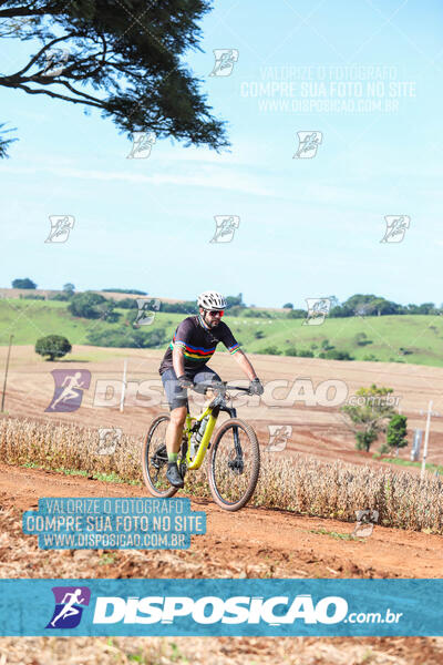 3º CIRCUITO DE PEDALADA E CAMINHADA DE MANDAGUARI