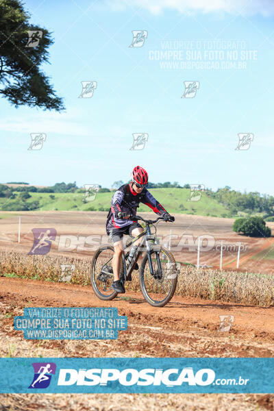 3º CIRCUITO DE PEDALADA E CAMINHADA DE MANDAGUARI