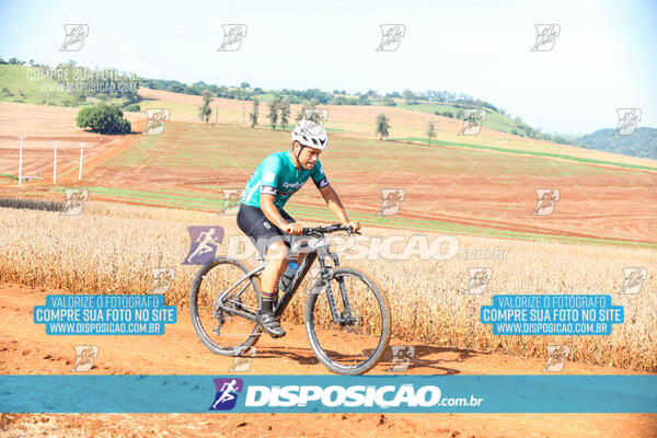 3º CIRCUITO DE PEDALADA E CAMINHADA DE MANDAGUARI