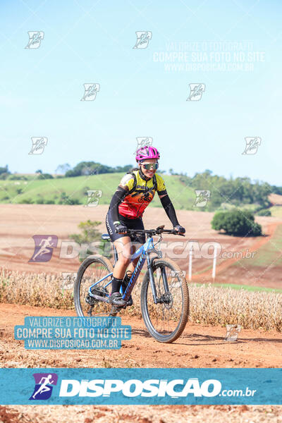 3º CIRCUITO DE PEDALADA E CAMINHADA DE MANDAGUARI