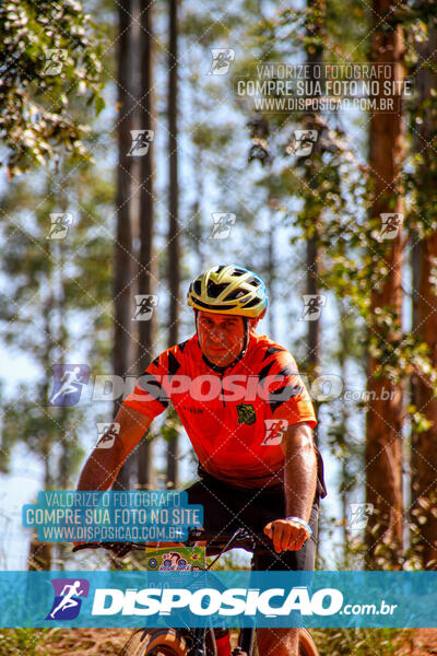 8º Rede Bike Astorga 2025