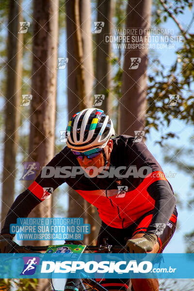 8º Rede Bike Astorga 2025