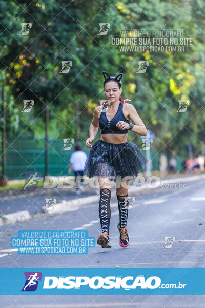 Parque do Ingá - Terça de Carnaval