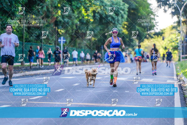 Parque do Ingá - Terça de Carnaval