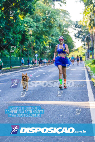 Parque do Ingá - Terça de Carnaval